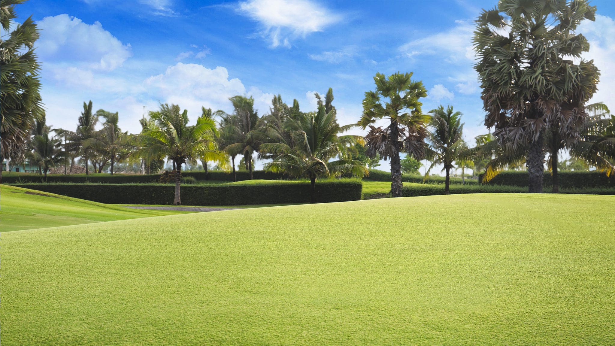 Garden City Golf Club TGM