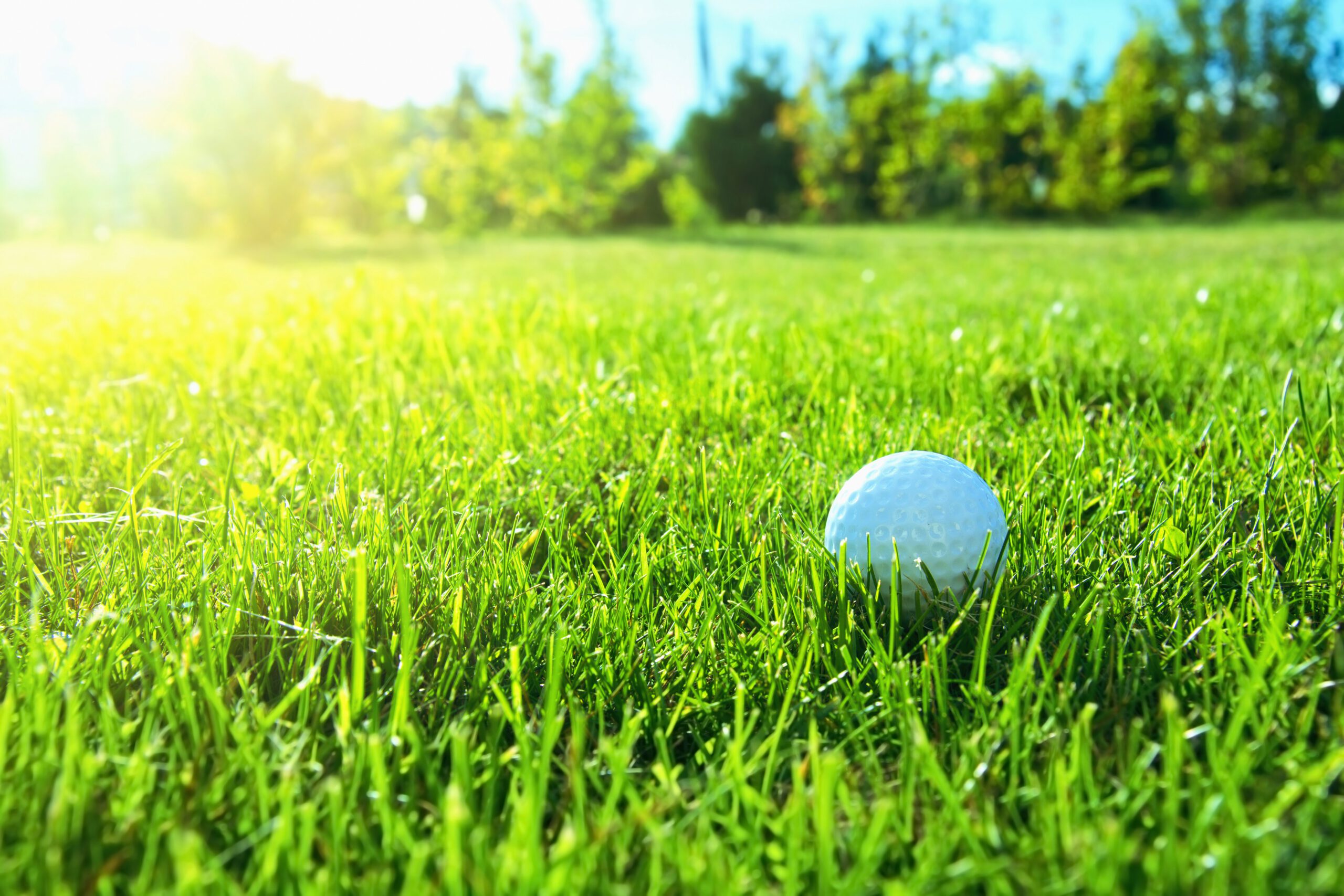 Golf Course Agronomy: Essential Practices for Championship Conditions